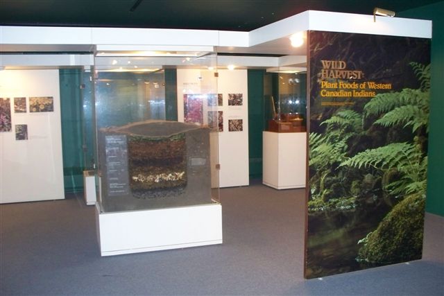Secwepemc Museum Exhibits